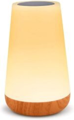 Table Lamp Touch Night Light - Portable Sensor Remote Control Bedside Lamps with Quick Rechargeable USB Dimmable Warm White Light 13 Colors  Table Lamp for Bedroom Living Room Office (White)