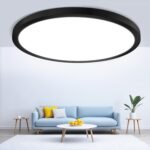 12inch LED Ceiling Light Flush Mount, 5000K Daylight White, 24W Flat Black Ceiling Lamp, Round Low Profile Ceiling Lights for Bedroom, Kitchen, Living Room