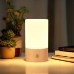 Acrylic Wood Lamp with Touch Switch,Rechargeable Night Light for Baby Nursery, Wooden Table Lamp with Dimmable ??Touch Lights for Kids, Breastfeeding, Bedroom,Creative Home Decor