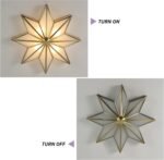 Brass Flush Mount Ceiling Light Star Shaped Lighting Fixture 4 Lights Bedroom Ceiling lamp with Glass Shade (Bulb Included) - Image 2
