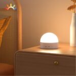 Portable Night Light, Dimmable 8 Color Lighting, 1800mAh Battery Rechargeable, Small LED Lamp for Nursery, Baby, Kids and Adults(1pcs)