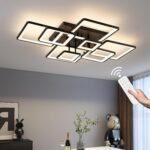 Modern LED Ceiling Light, Dimmable LED Chandelier Black Flush Mount Ceiling Lights, Remote Control Acrylic Ring Ceiling Lamp Fixture for Living Room Dining Room Bedroom