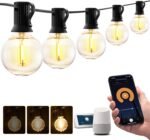 Outdoor String Lights, Smart Patio Lights 100Ft Dimmable Outdoor Lights Warm White, 50 G40 LED Bulbs, WiFi String Lights for Outside, Work with Alexa, APP Control, Waterproof Extendable
