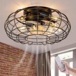 Ceiling Fan with Lights, 16 Inch Caged Ceiling Fan Lights Remote Control Small Industrial Ceiling Fan Light Fixture Flush Mount Farmhouse Light 8 Speeds Bladeless Lights for Bedroom Kitchen