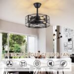 Caged Ceiling Fan with Light, 18 Inch Black Fandelier Ceiling Fans for Kitchen Bedroom Outdoor, Remote Control, Reversible - Image 2